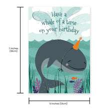 Birthday Card Assortment Box Set (11 Cards) - Version 2 - Northern Cards