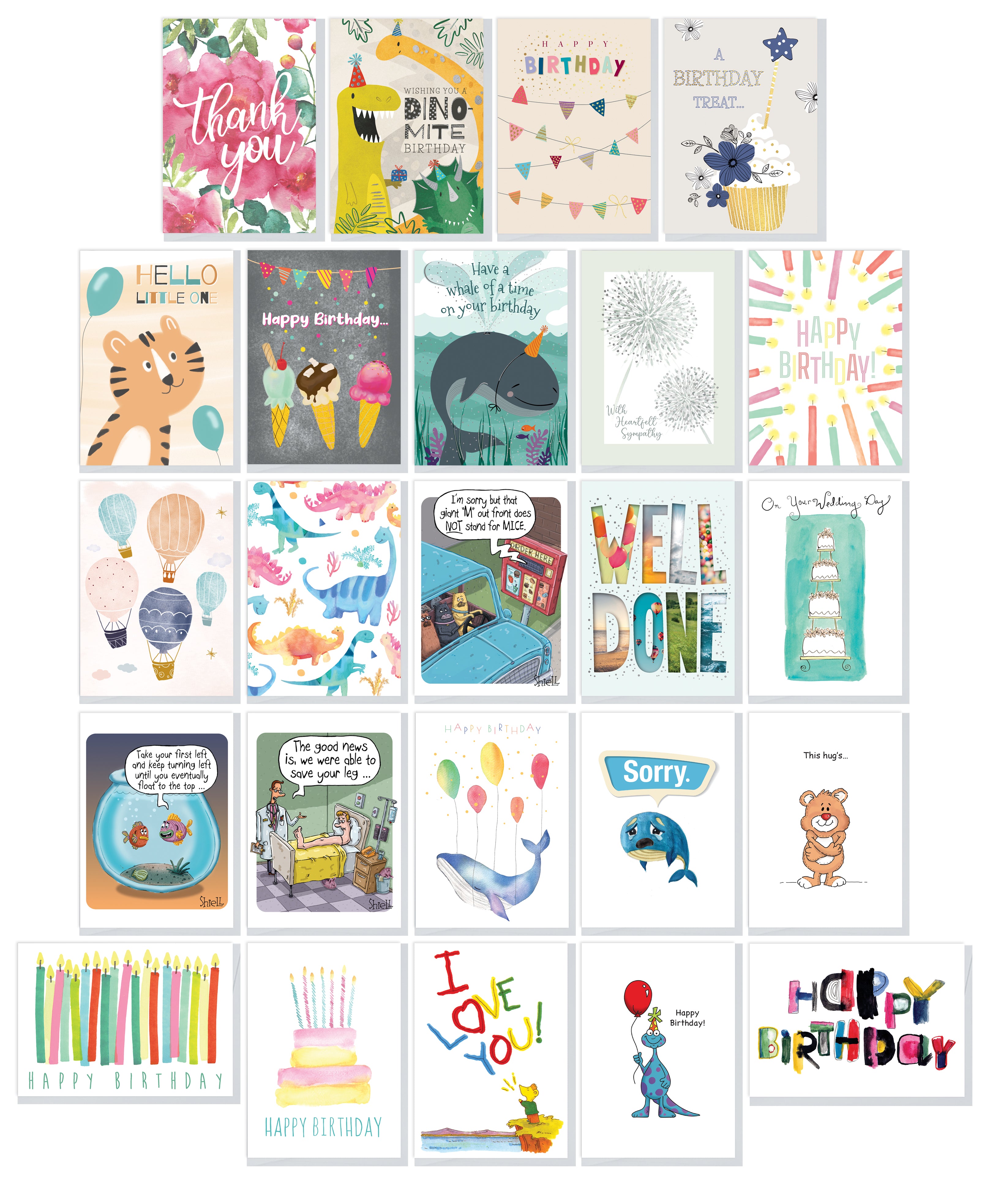 Boxed All Occasion Greeting Card Assortment (48 Cards) - Northern Cards