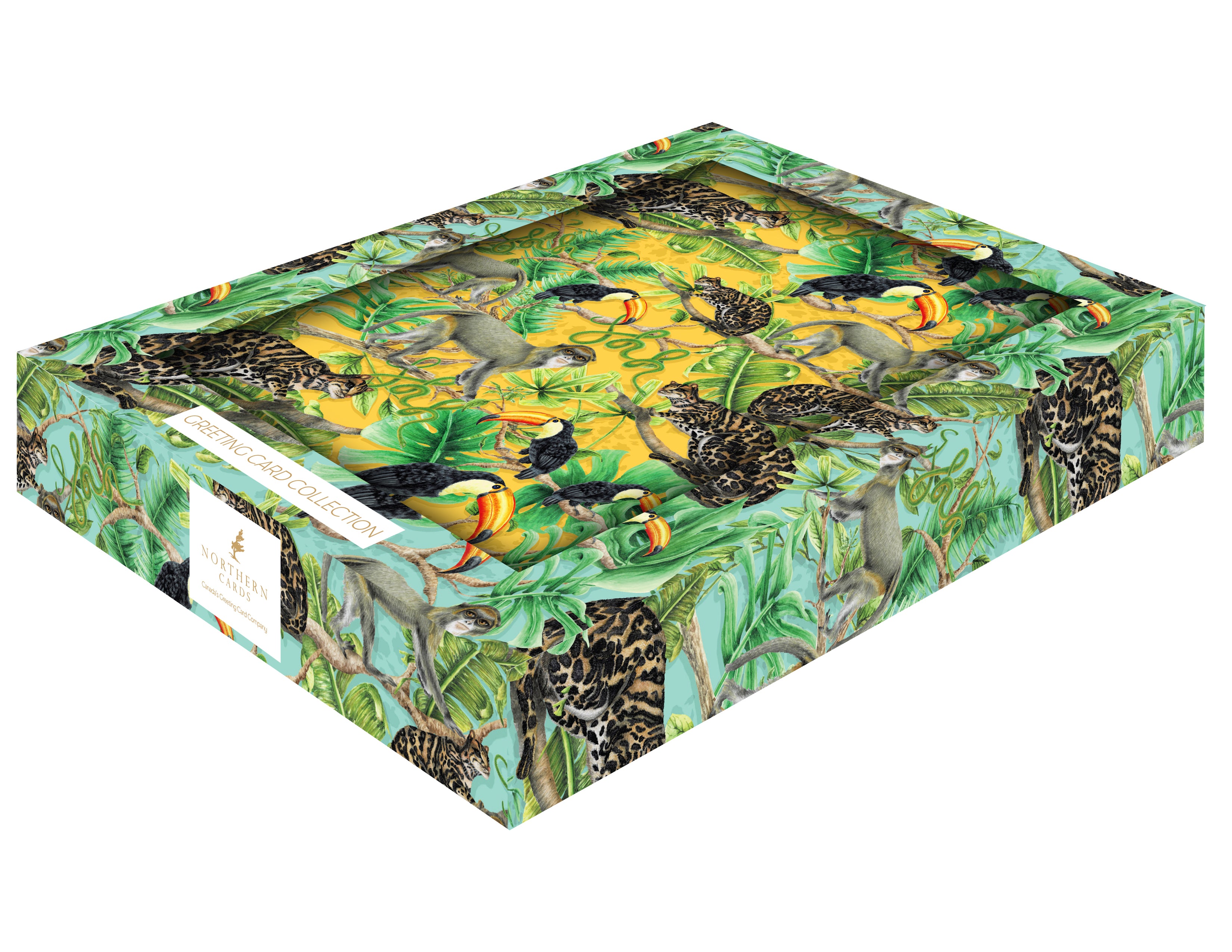 Boxed Set of 16 Jungle Cards - 4 of Each Design - Northern Cards